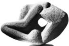Immagine 84.jpg (30kb)